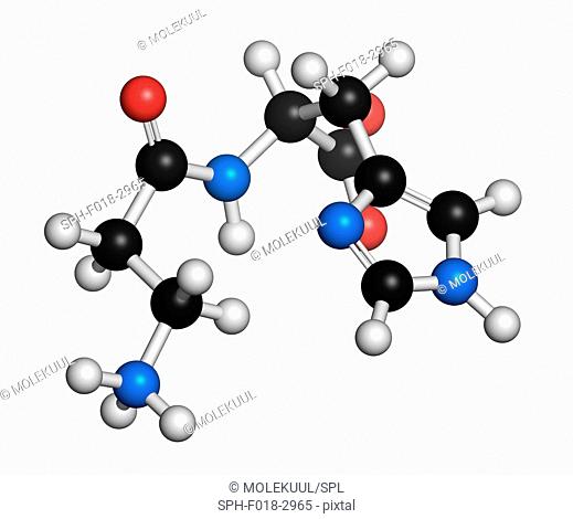 Carnosine (L-carnosine) food supplement molecule. 3D rendering. Atoms are represented as spheres with conventional colour coding: hydrogen (white)