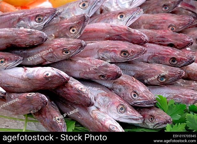 Fische auf dem Markt von Aix-en-Provence