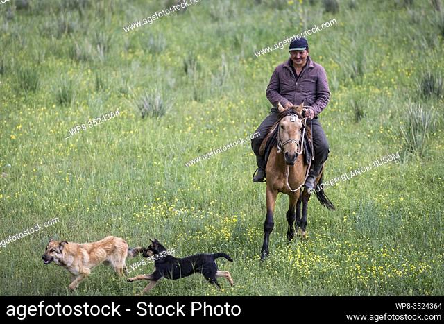 Kyrgyz rider riding a horse