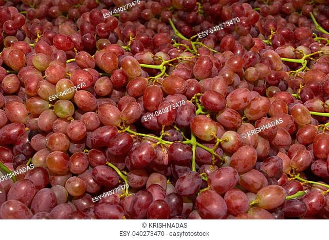A grape is a fruiting berry of the deciduous woody vines of the botanical genus Vitis. Grapes can be eaten raw or they can be used for making wine, jam, juice