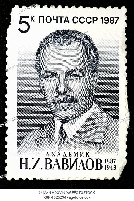Nikolai Vavilov 1887-1943, Russian Soviet botanist and geneticist, postage stamp, USSR, 1987