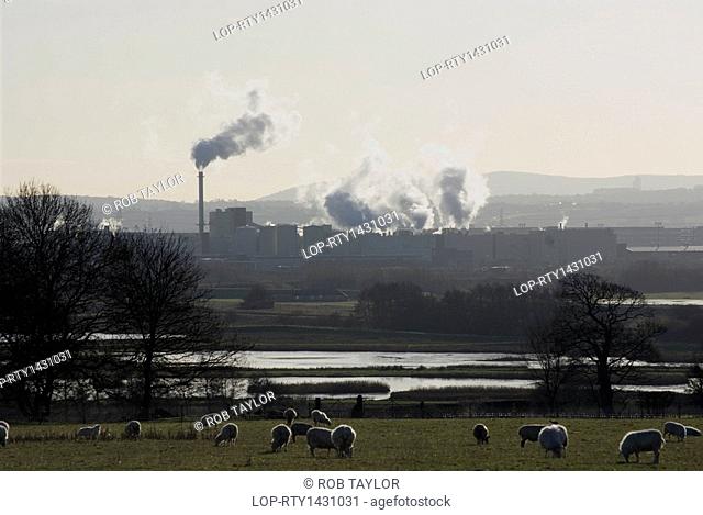 Wales, Flintshire, Shotton. Pastoral view of sheep grazing by the Dee estuary and the Corus Steelworks at Shotton in the distance