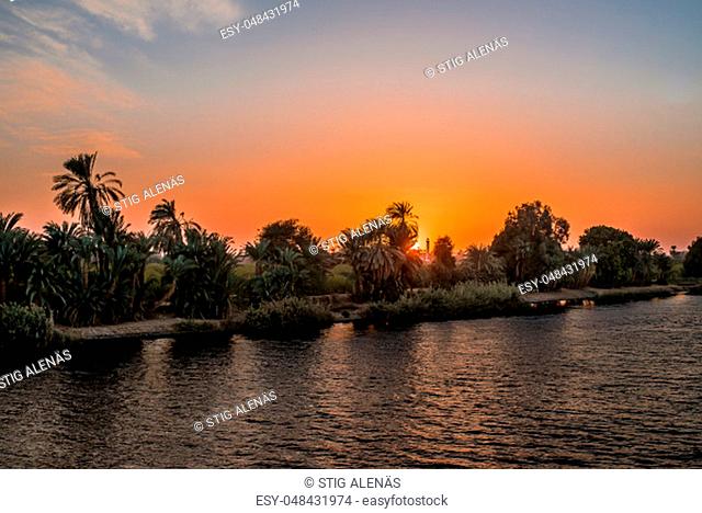 Palms reflecting in the water at the sunset on the bank of river Nile, Egypt, October 26, 2018