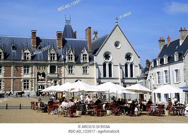 Chateau of Blois Place du Chateau Blois Centre France Loire valley