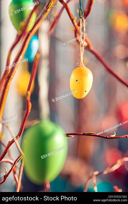 Hanging Easter eggs on tree with soft focus bokeh and color toned. Spring easter concept background