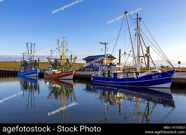 Fishing cutter in the harbor of Dorum-Neufeld, district of Cuxhaven, Lower Saxony
