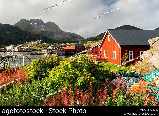Houses in Sorvagen, Moskenesoya, Lofoten, Nordland, Norway