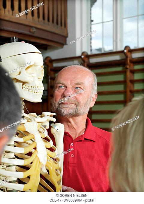 Older people examining skeleton