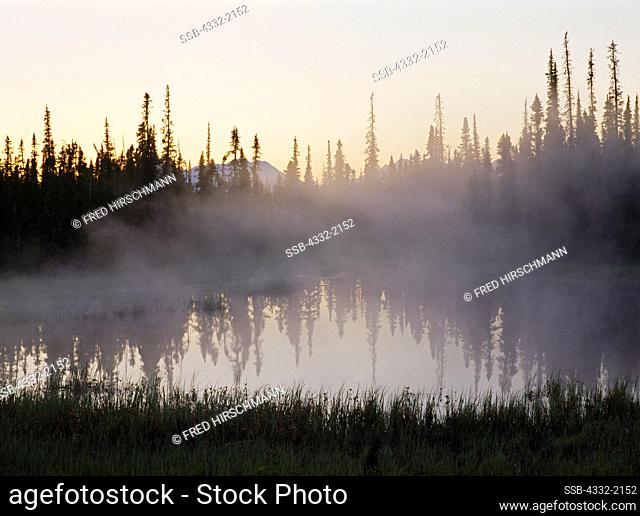 Morning mist hanging over pond in white spruce forest between Tunutuk and Nakochelik creeks, Kobuk Valley National Park, Alaska