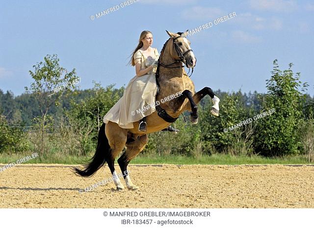 Girl wearing a historic dress on a rearing Lusitano horse stallion (circus exercise)