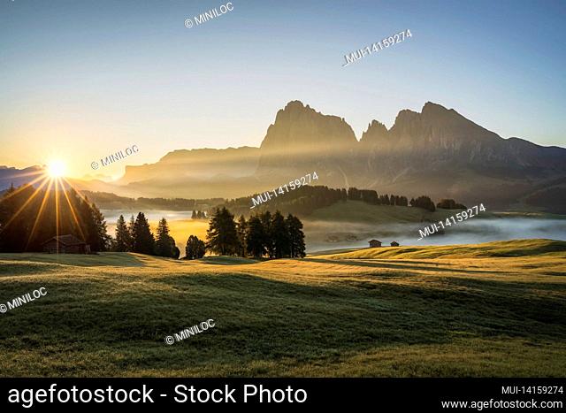 alpe di siusi at sunny morning sunrise, dolomites mountains, italy