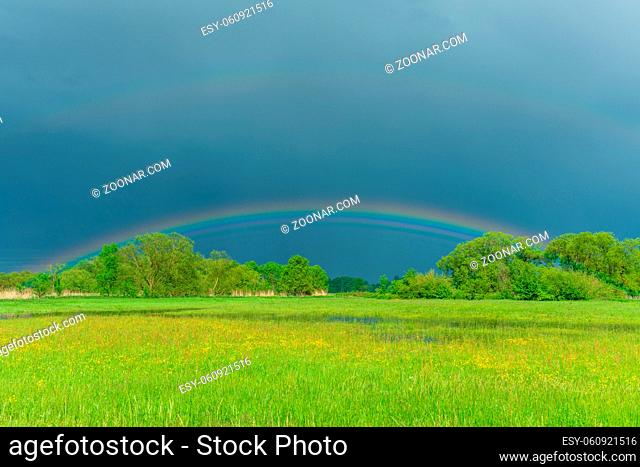 Rainbow over a flooded meadow in rainy weather in spring. France, Alsace