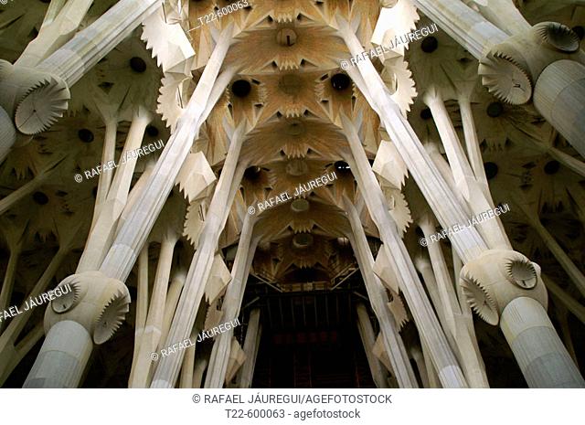 Interior of Sagrada Familia. Barcelona. Catalonia, Spain
