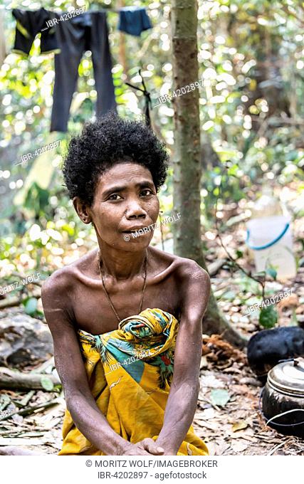 Woman of the Orang Asil tribe sitting in the jungle, Portrait, Native, Indigenous Volk, tropical rain forest, Taman Negara National Park, Malaysia