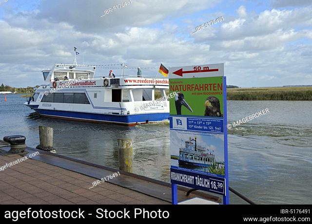 Port of Zingst, excursion boat, October, Zingst, National Park Vorpommersche Boddenlandschaft, Mecklenburg-Western Pomerania, Baltic Sea, Germany, Europe