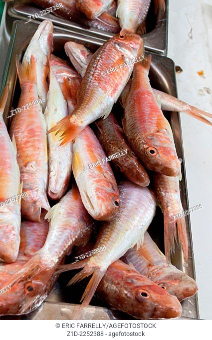 Fresh fish for sale Malaga