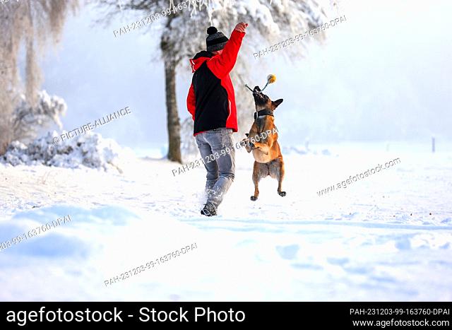 03 December 2023, Baden-Württemberg, Uttenweiler: A man plays with his dog in the snow in the morning. According to the German Weather Service