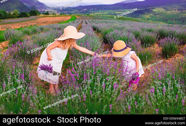 Two little girls in white dresses and hats with baskets stand among a lavender field