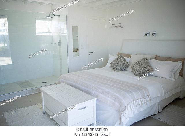Bed, shower and trunk in modern bedroom