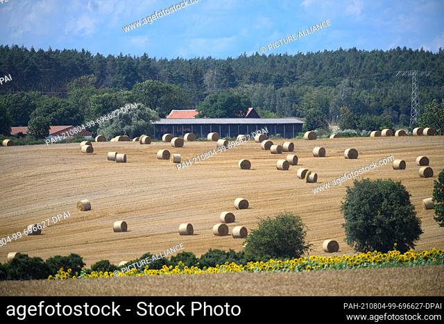 29 July 2021, Brandenburg, Schwedt/Ot Flemsdorf: Straw bales lie on the edge of a harvested field. Photo: Soeren Stache/dpa-Zentralbild/ZB