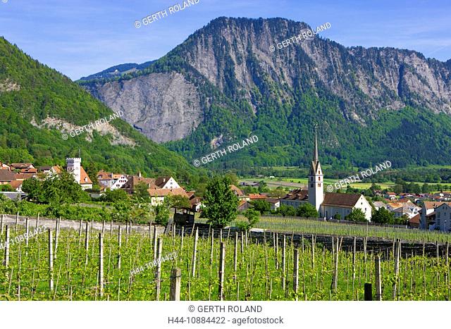 Malans, Switzerland, Europe, canton Graubünden, grisons, Bündner Herrschaft, village, houses, homes, church, vineyard, shoots, wood, forest, mountains