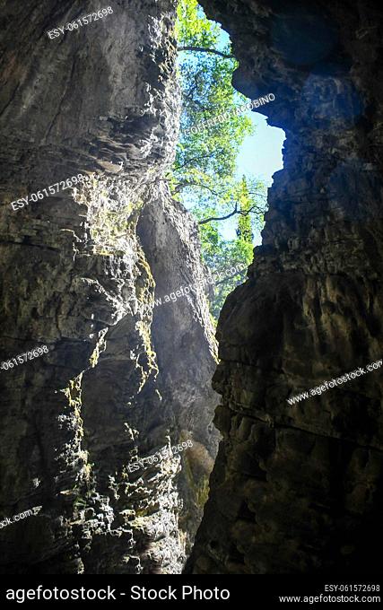 cave in the Italian Dolomites hidden by the dense forest