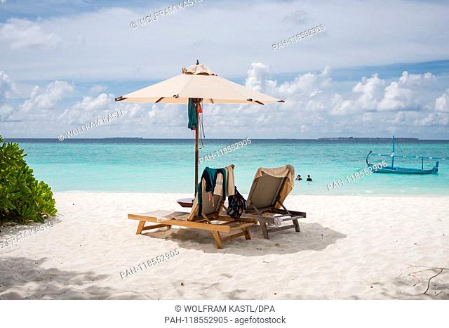 2018.18.09, Maledives, Hanimadoo: Deck chairs wait on a beach between the trees. | usage worldwide. - Hanimadoo/Haa Dhaalu Atoll/Maldives