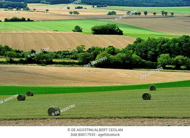 Agricultural landscape near Saint-Fargeau, Puisaye, Bourgogne-Franche-Comte, France