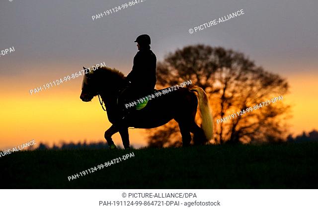 dpatop - 24 November 2019, Baden-Wuerttemberg, Binzwangen: Shortly before sunset, a rider is out on a meadow with her horse. Photo: Thomas Warnack/dpa