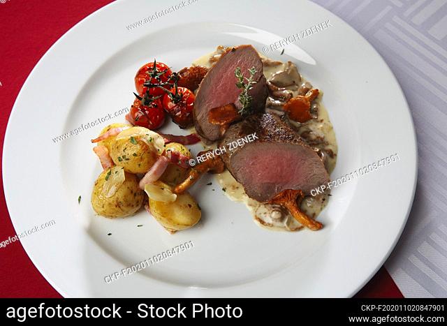 Deer Steak with Creamy Chanterelle Mushrooms Sauce, tomatoes and potatoes on white plate. (CTK Photo/Zdenek Rerych)