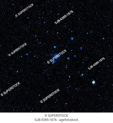Fornax Cluster of Galaxies
