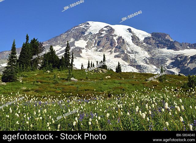 Summit Mount Rainier, Mount Rainier National Park, Cascade Range, Cascade Mountains, Washington, Pacific Northwest, USA, North America