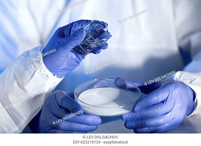 science, chemistry and people concept - close up of scientists hands with glass and chemical powder in petri dish making test or research at laboratory