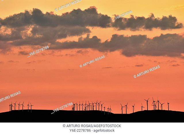 Wind farm. Province of Avila. Spain