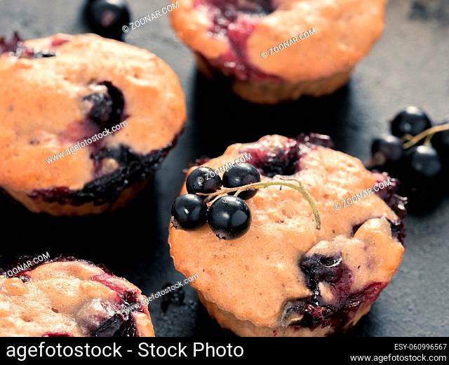 Muffins with black currant on dark background close up