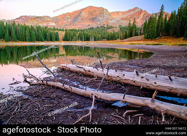 USA, Rocky Mountains, Colorado, Gunnison National Forest, Crested Butte, Lake Irwin