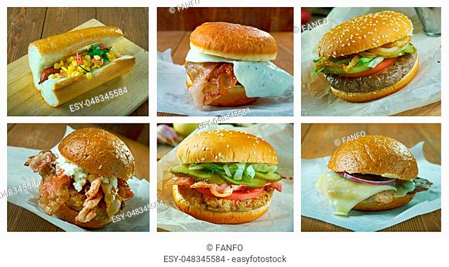 Food set of different American Sandwich . collage