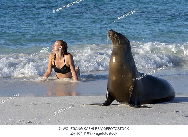 Tourist (Model Release 20020923-7) posing with a Galapagos sea lion (Zalophus wollebaeki) on a beach at Gardner Bay on Hood Island (Espanola Island) in the...