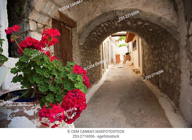 Passageway in Sitia village with geranium flowers in a pot in the foreground, Lasithi, Crete, Greek Islands, Greece, Europe