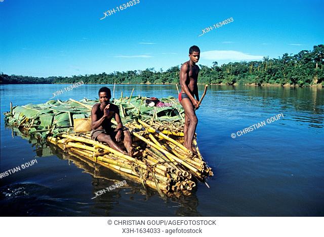 men carrying bananas on a bamboo raft, Canal des Pangalanes, Mananjara on the East Coast, Republic of Madagascar, Indian Ocean