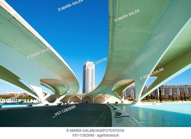 Monteolivete bridge, view from below. City of Arts and Sciences, Valencia, Spain