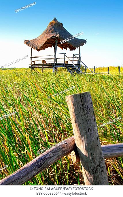 hut palapa in mangrove reed wetlands in mexico