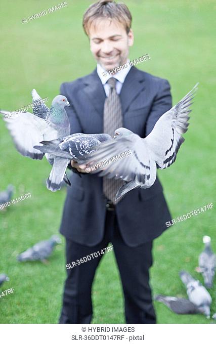 Businessman feeding pigeons in park
