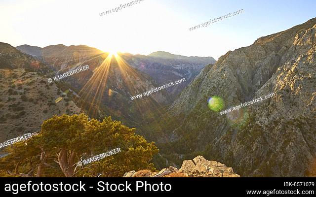 Gingilos, Hiking on the Gingilos, Morning light, Back light, Sun rays, Tree, Cloudless blue sky, Samaria Gorge, Omalos, Lefka Ori, White Mountains, West Crete