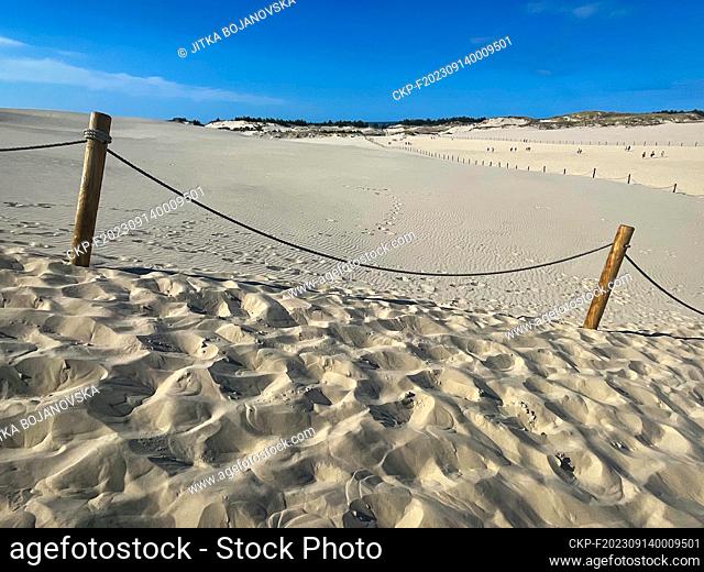 Located in the Slowinski National Park, between the sea and Lake Lebsko, the shifting dunes move a few metres every year, covering the for
