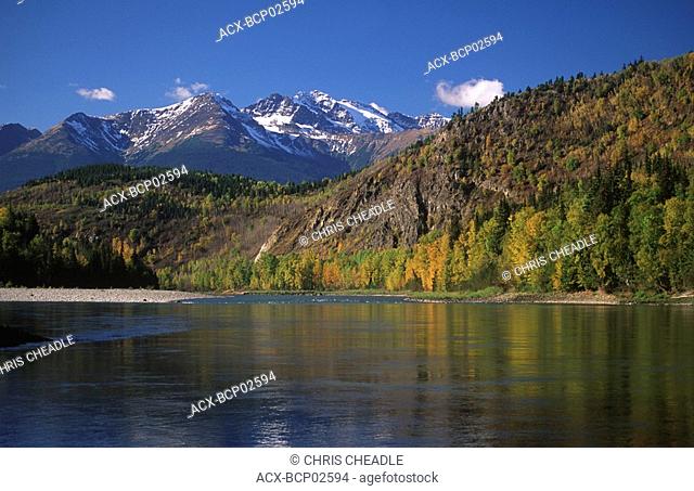 Skeena River in autumn with golden trees and Skeena mountains beyond, British Columbia, Canada