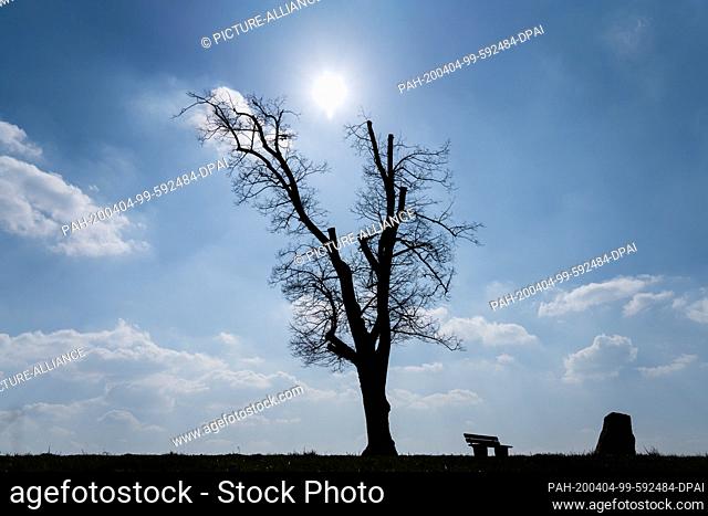 04 April 2020, Bavaria, Isling: The sun shines on an empty bench next to a tree. Photo: Nicolas Armer/dpa. - Isling/Bavaria/Germany