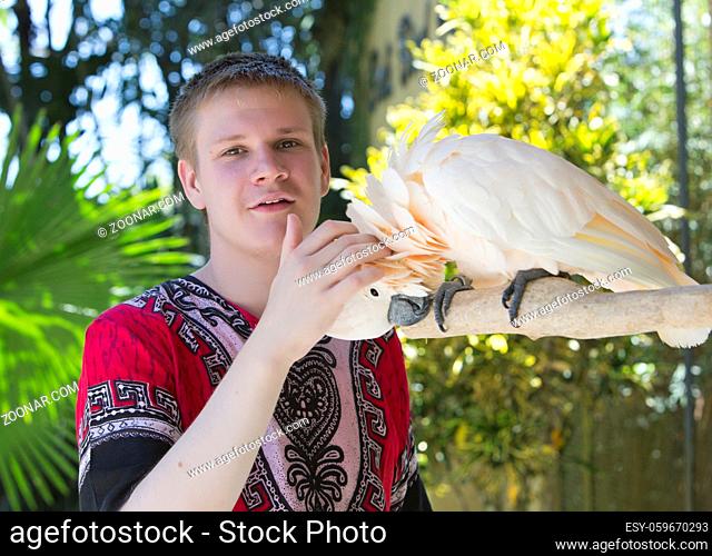 The young man scratches a white cockatoo parrot on a cop