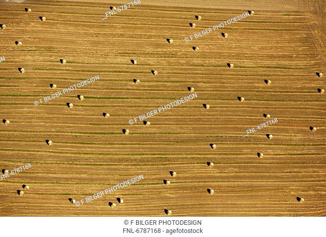 Bales of straw on stubble field, aerial photo