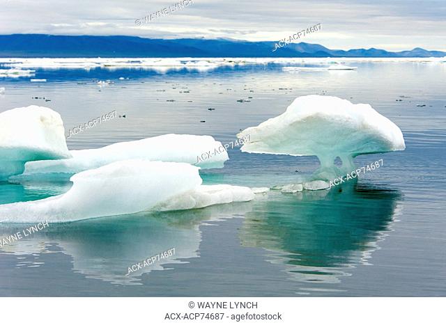 Wrangel Island, Arctic Russia
